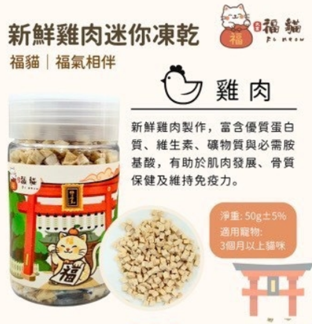 螢幕擷取畫面 2025-10-20 130519