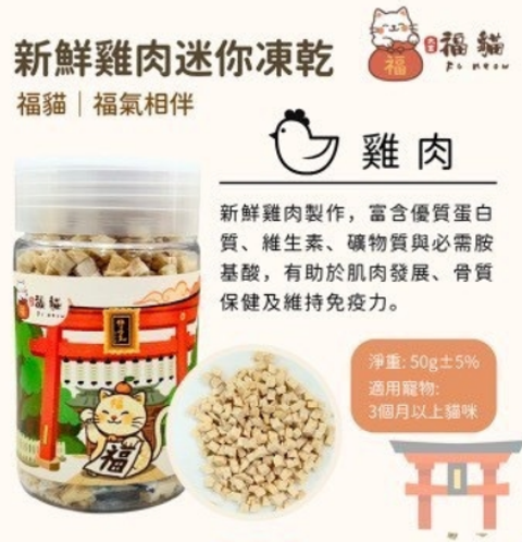 螢幕擷取畫面 2025-10-20 130519