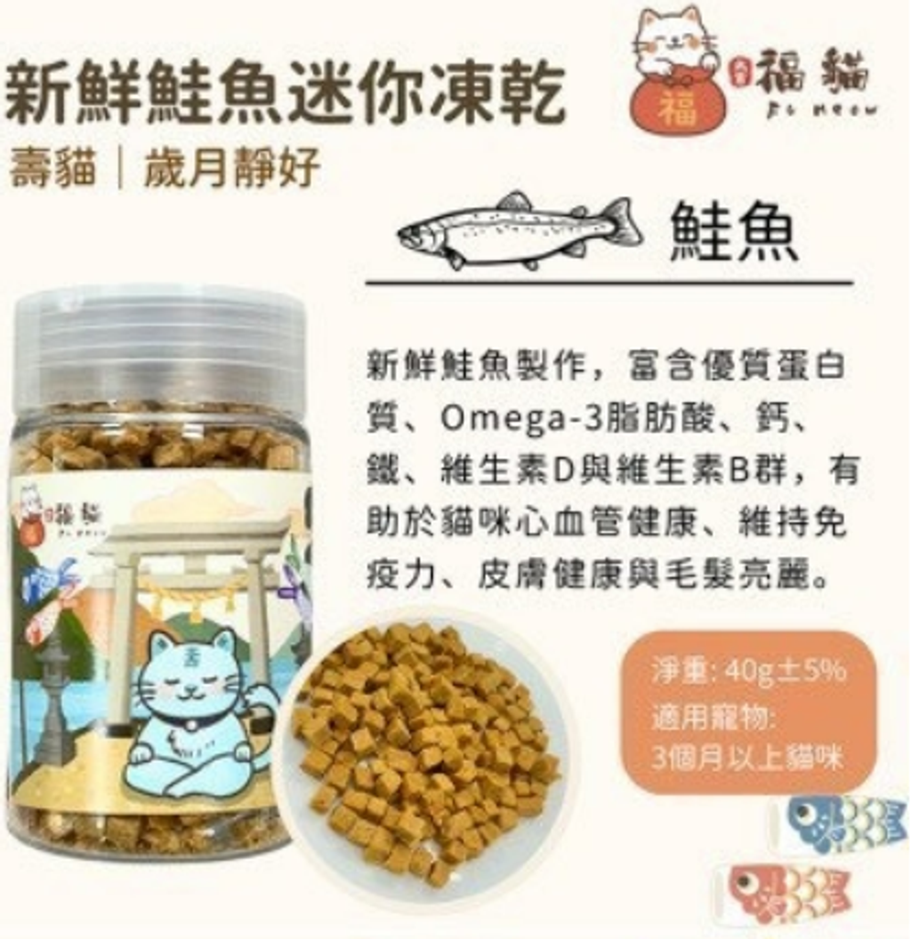 螢幕擷取畫面 2025-10-20 130549