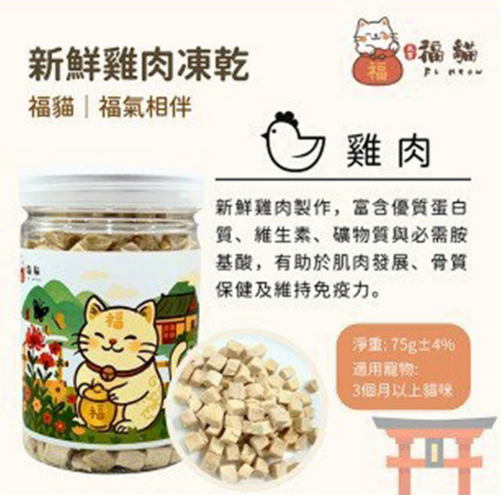 螢幕擷取畫面 2025-10-21 132747