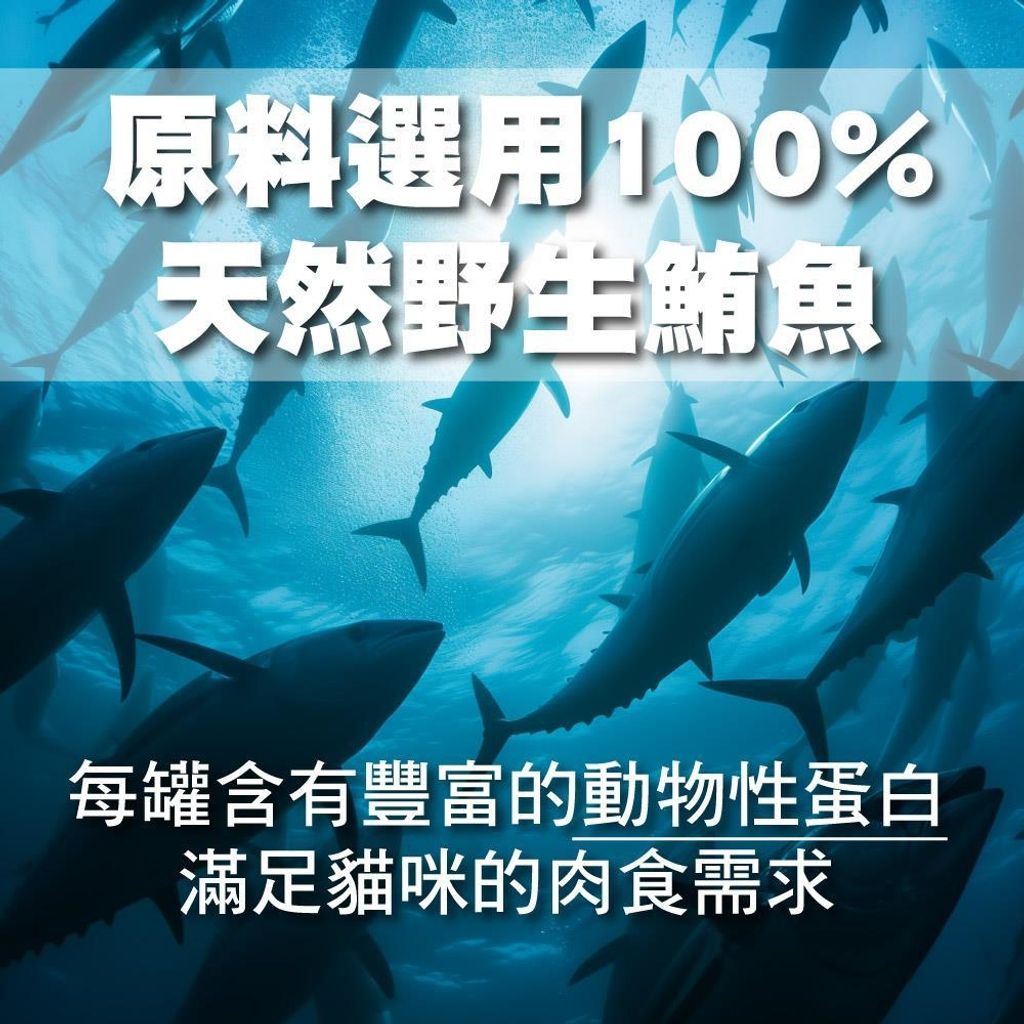 LINE_ALBUM_17 喵貓罐_251030_10