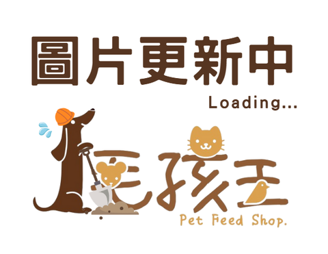 螢幕擷取畫面 2025-10-15 163443