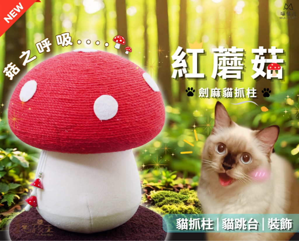 螢幕擷取畫面 2025-12-23 183116