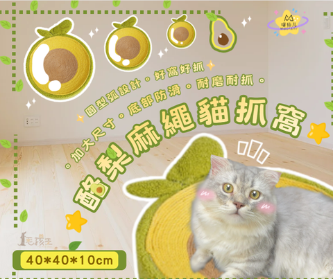 螢幕擷取畫面 2026-01-16 182652