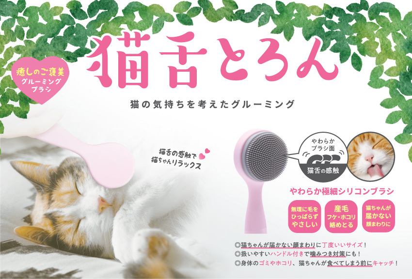 猫01