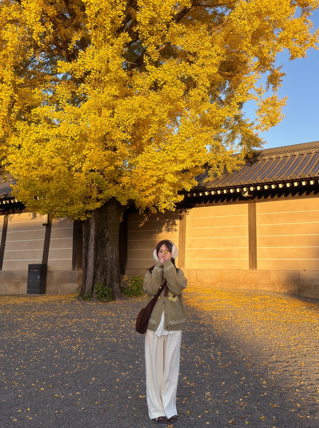 LINE_ALBUM_20251217_251217_90