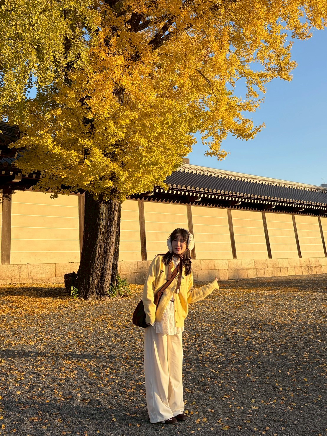 LINE_ALBUM_20251217_251217_109