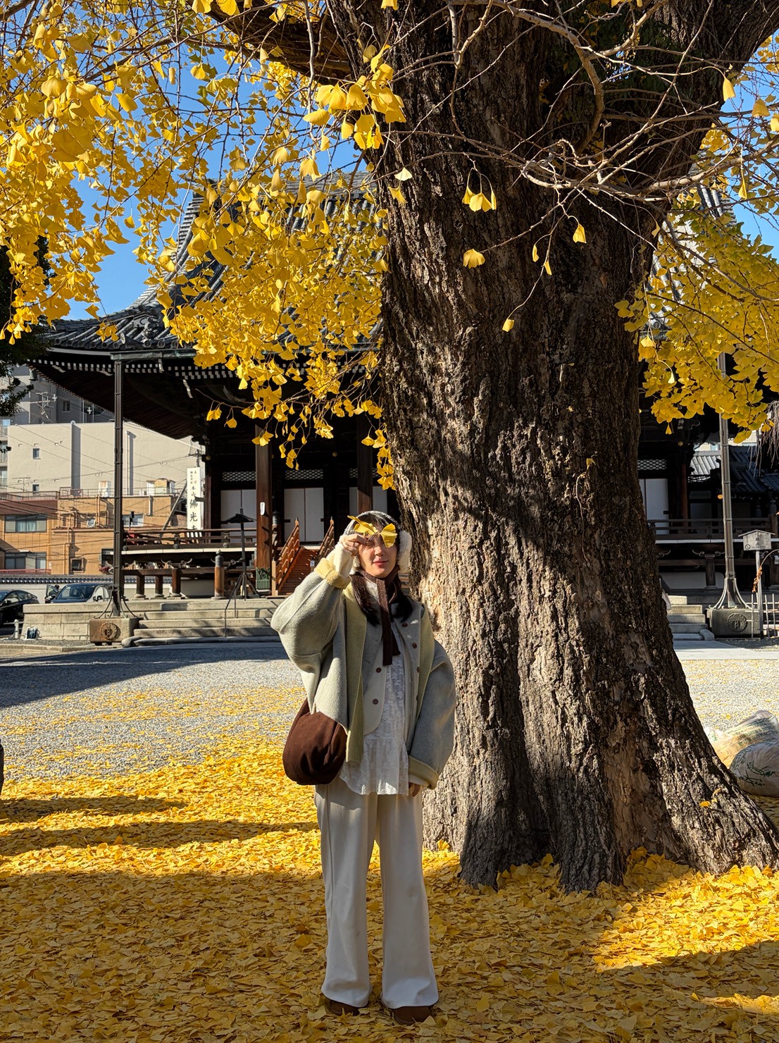 LINE_ALBUM_20251217_251217_110