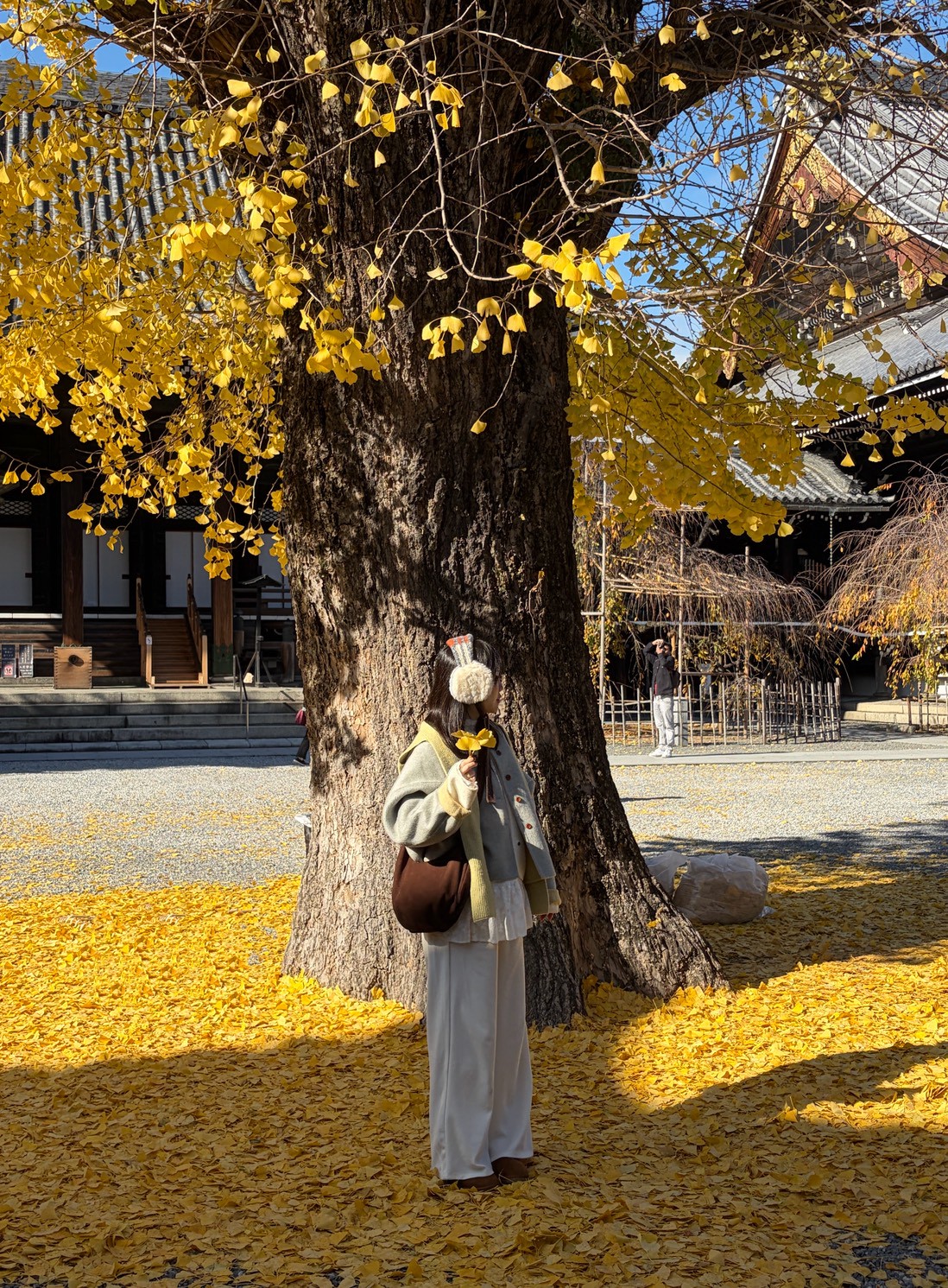 LINE_ALBUM_20251217_251217_111