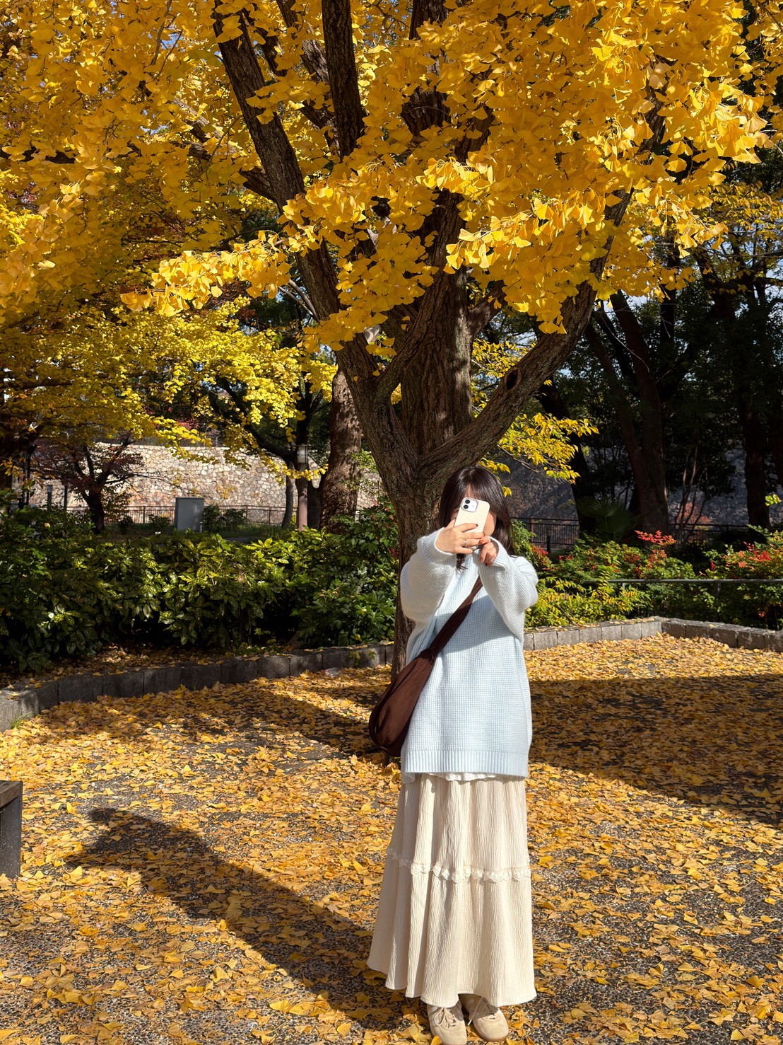 LINE_ALBUM_20251217_251217_97