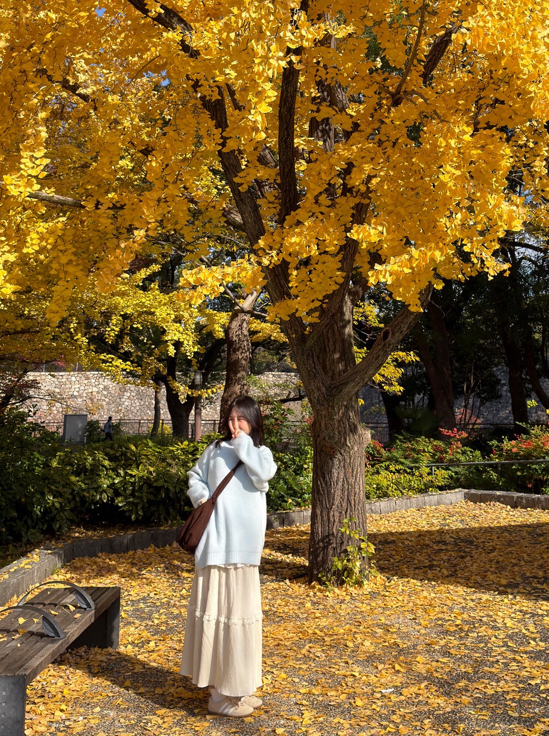 LINE_ALBUM_20251217_251217_96