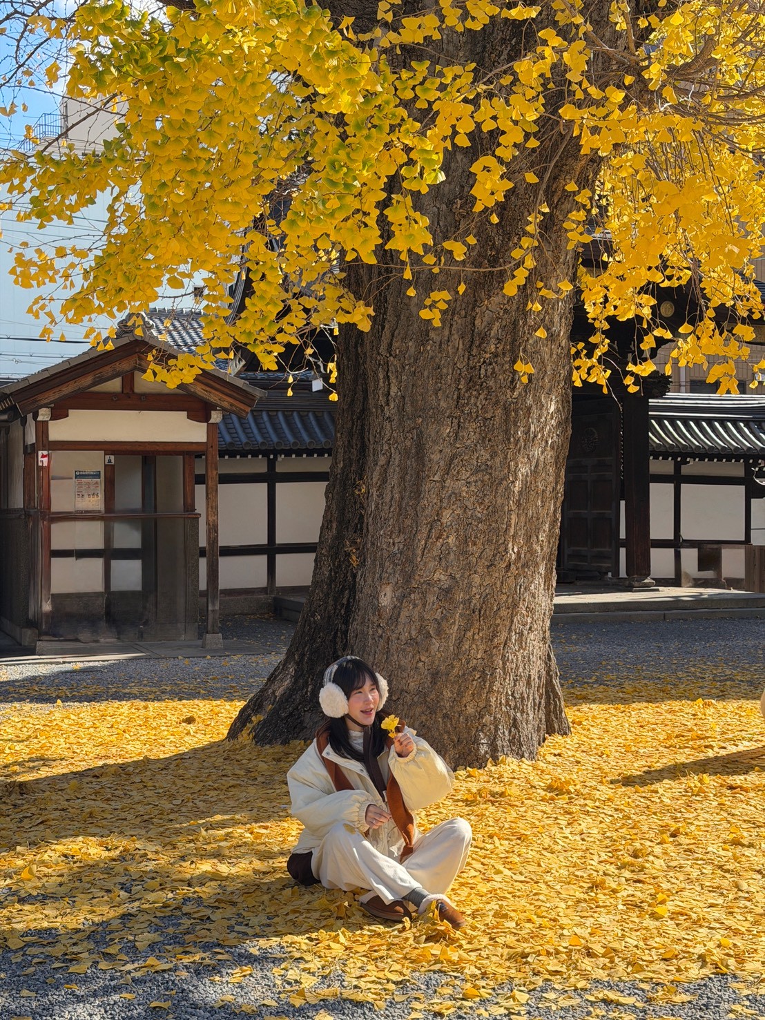 LINE_ALBUM_20251217_251217_99