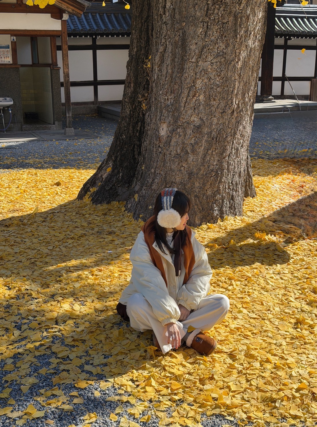 LINE_ALBUM_20251217_251217_98