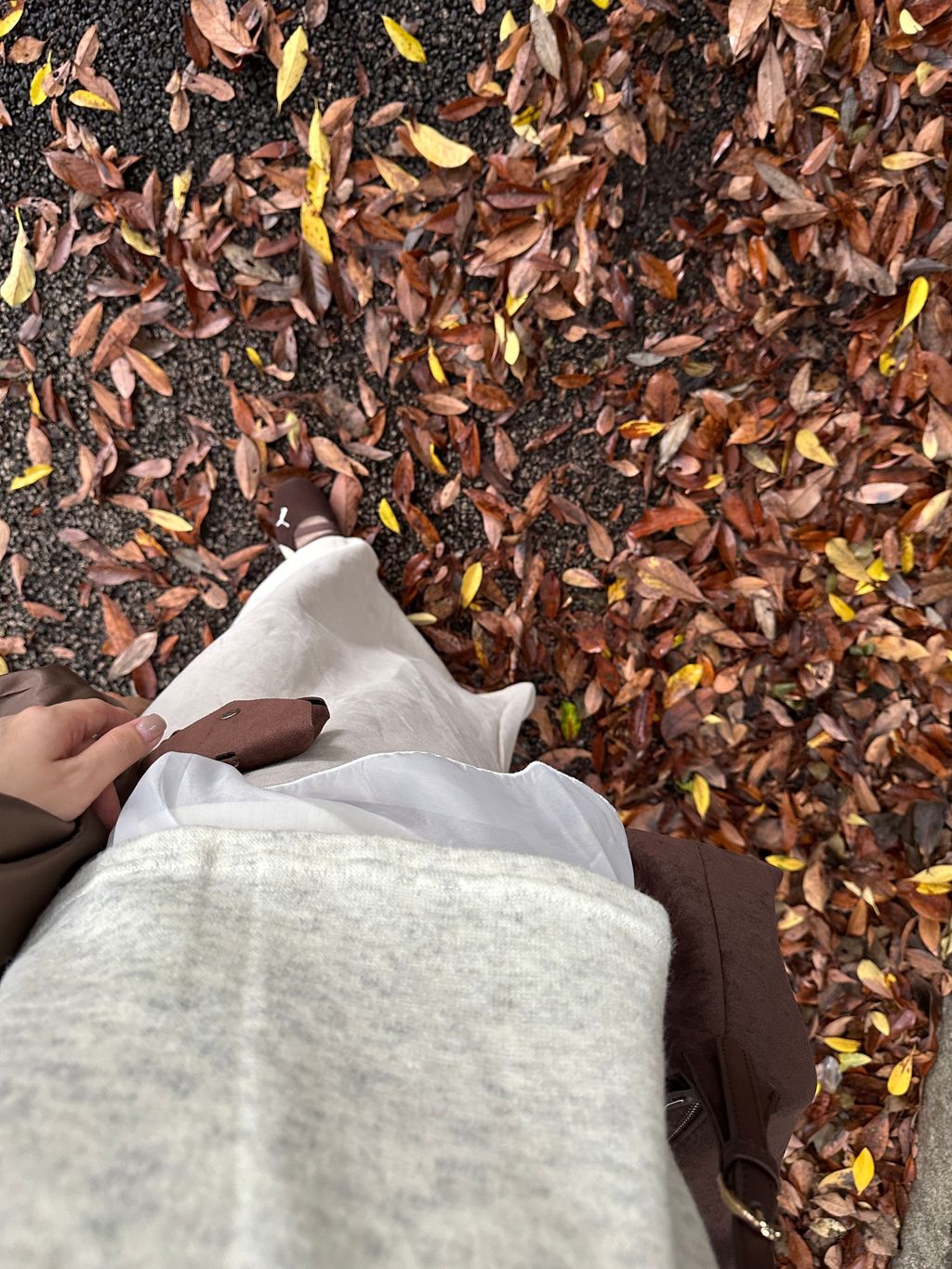 image_1DACF0BF-462C-4C33-AB85-3E3499685312_1761136816