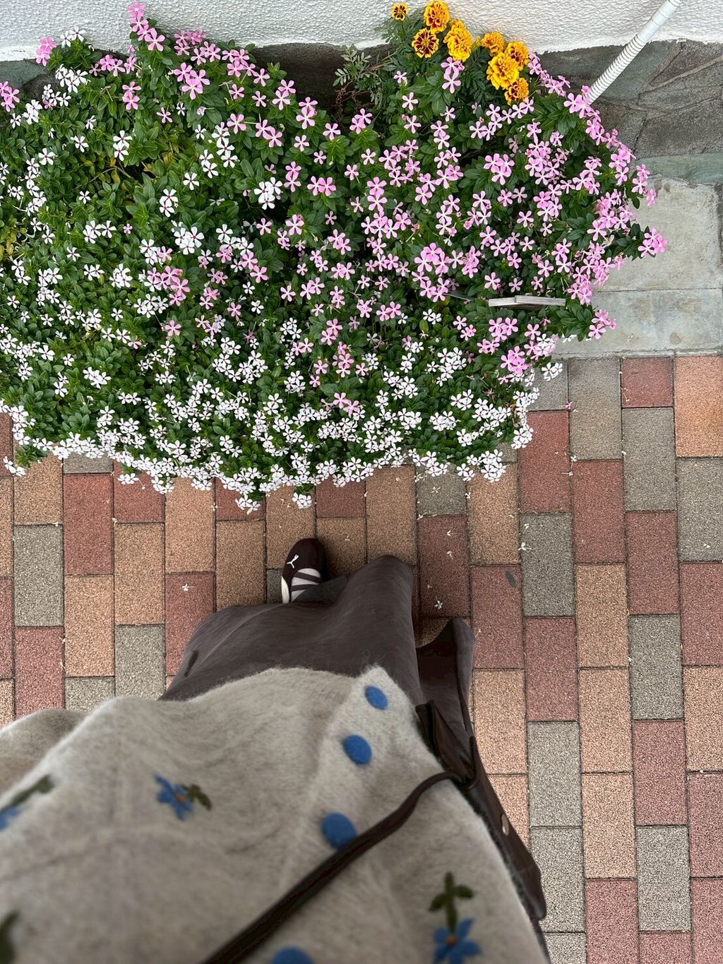 LINE_ALBUM_20251023_251023_20