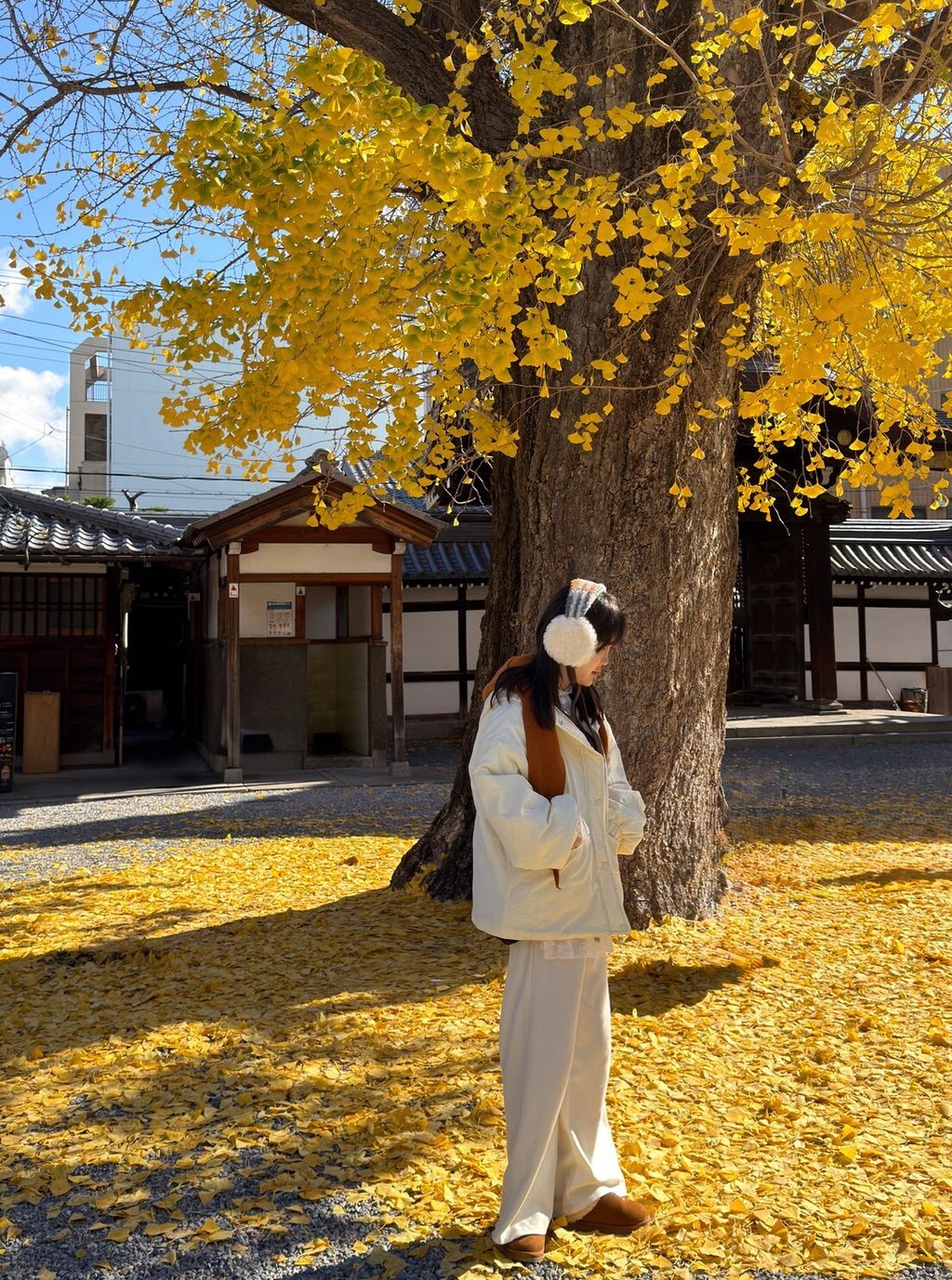 LINE_ALBUM_20251217_251217_93