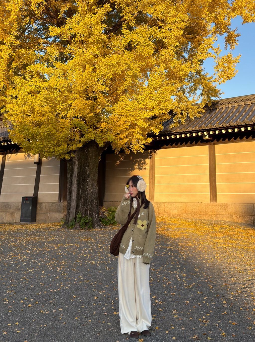 LINE_ALBUM_20251217_251217_91