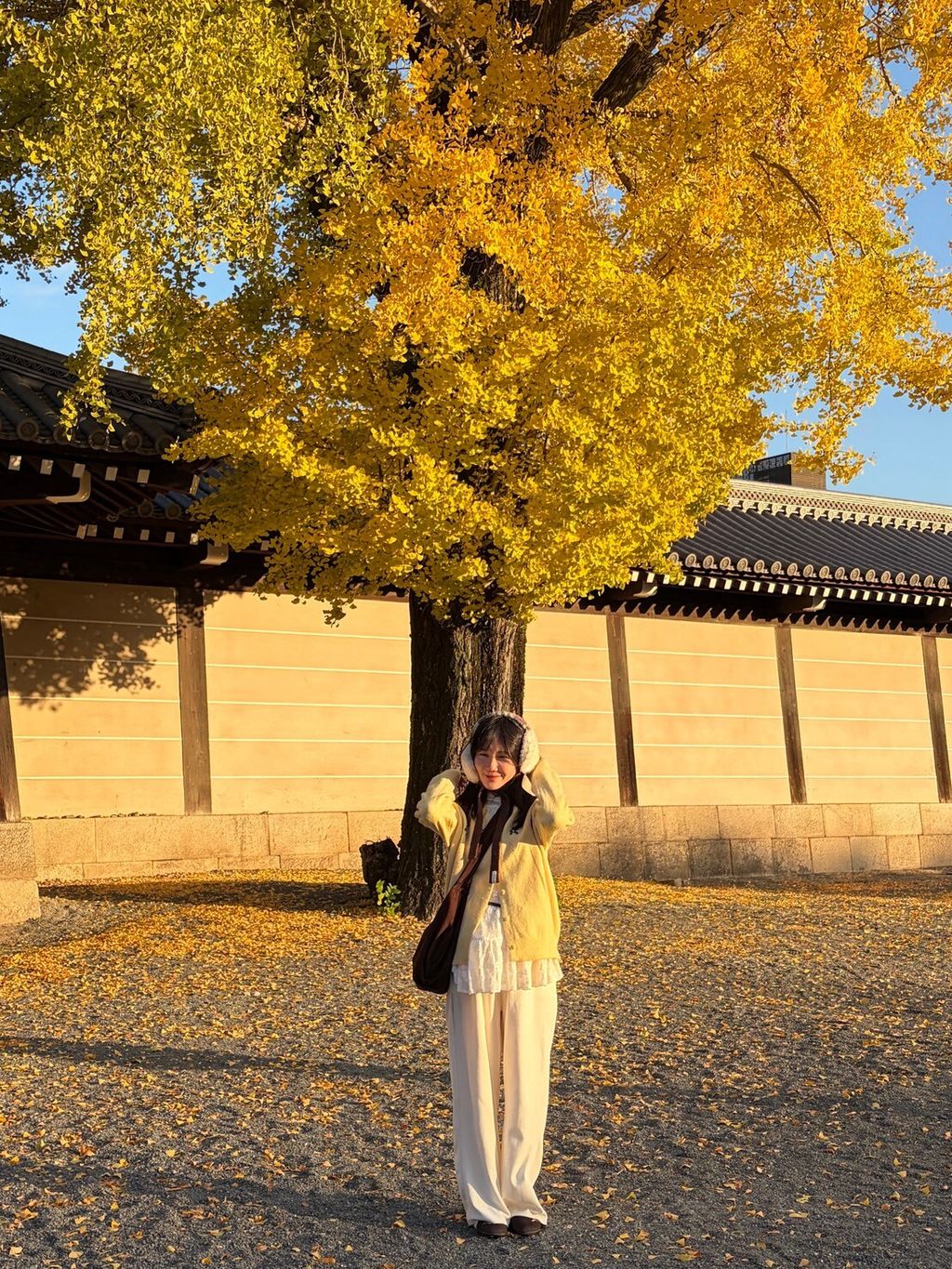 LINE_ALBUM_20251217_251217_106