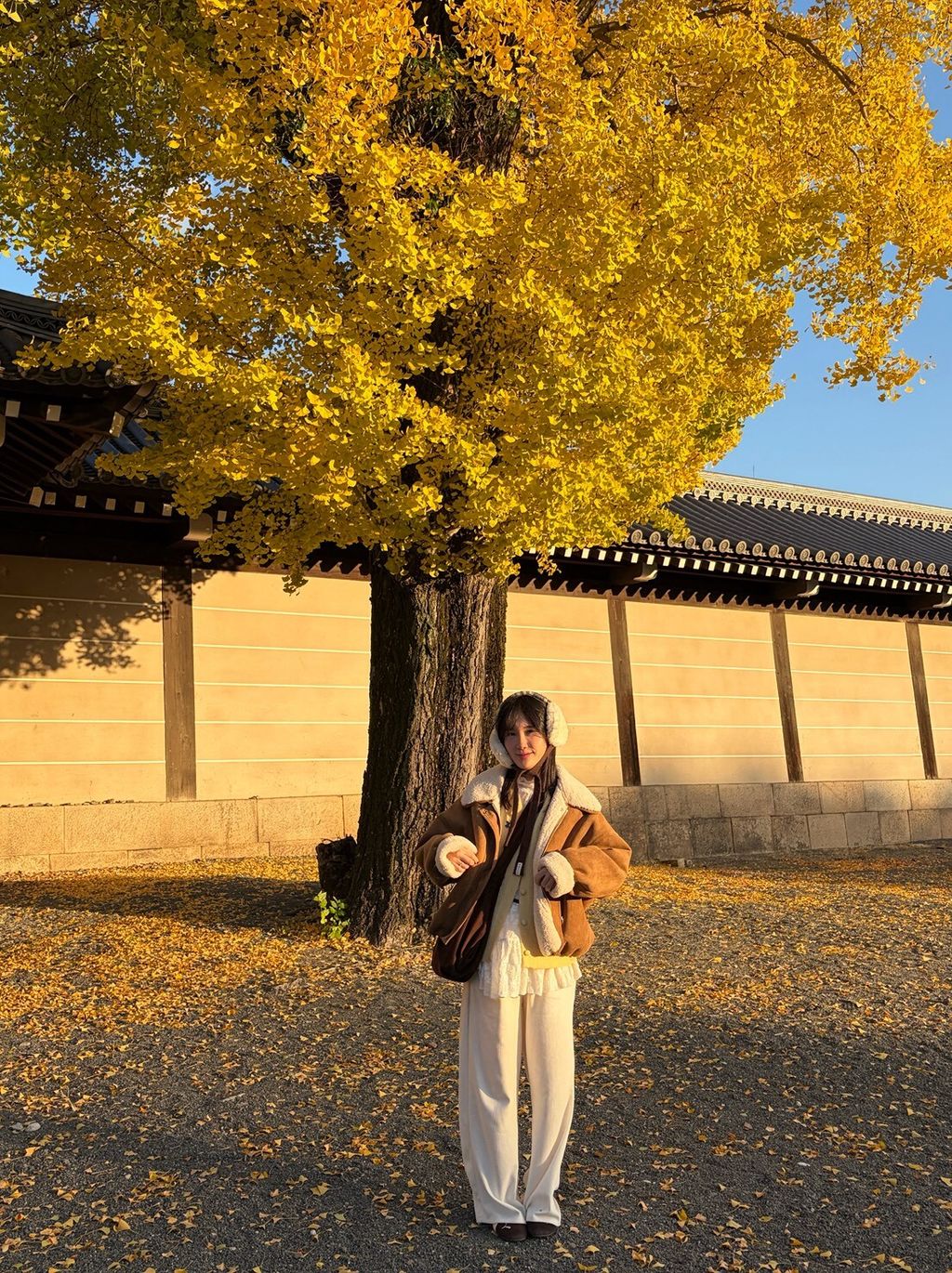 LINE_ALBUM_20251217_251217_108