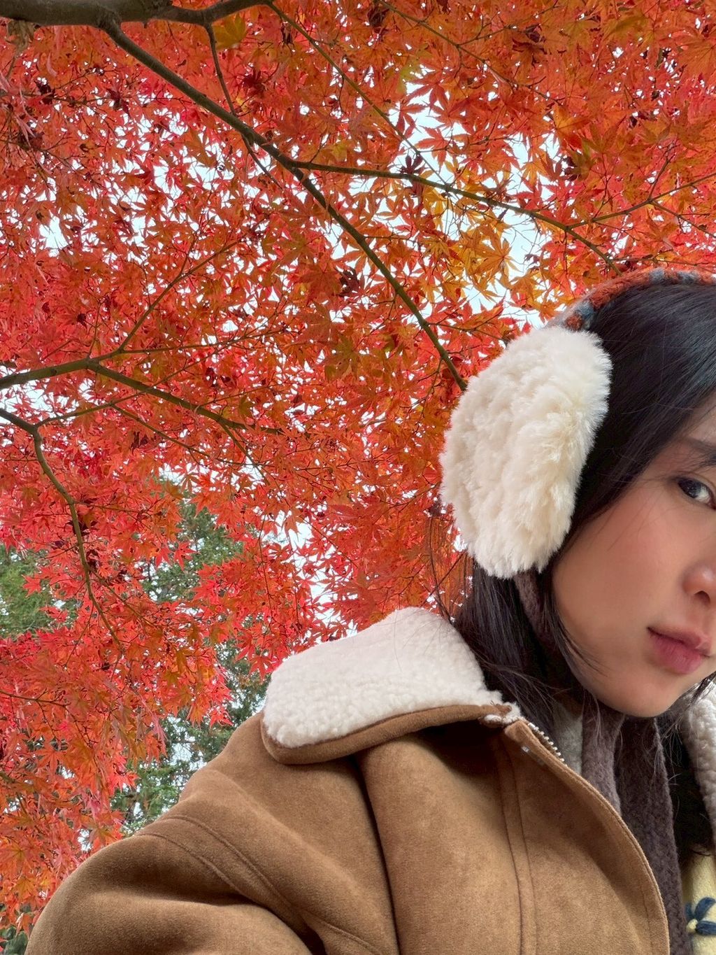 LINE_ALBUM_20251217_251217_30