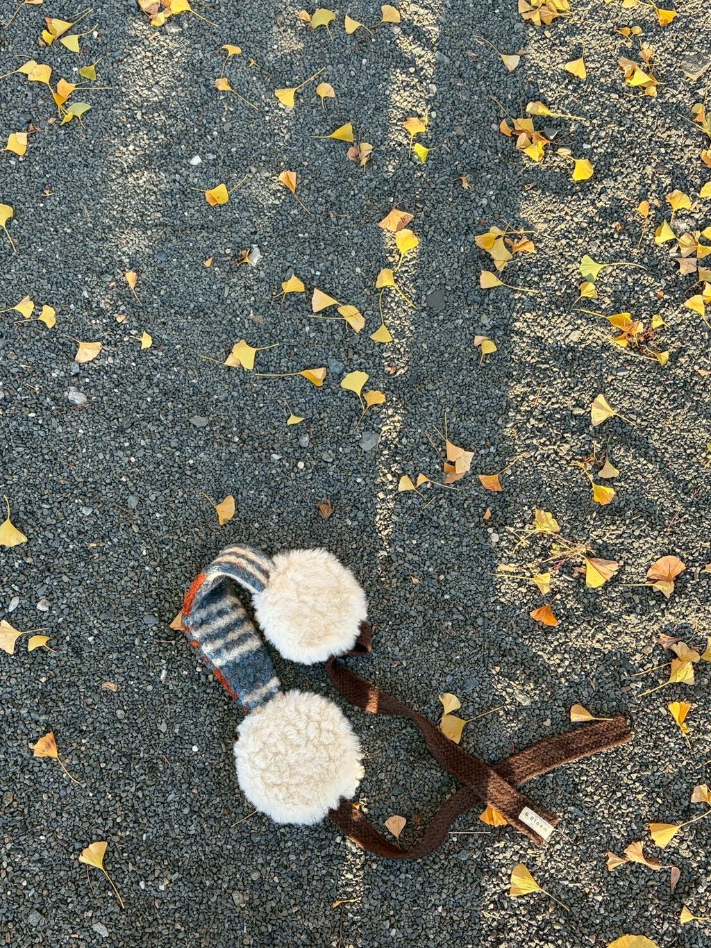 LINE_ALBUM_20251217_251217_33