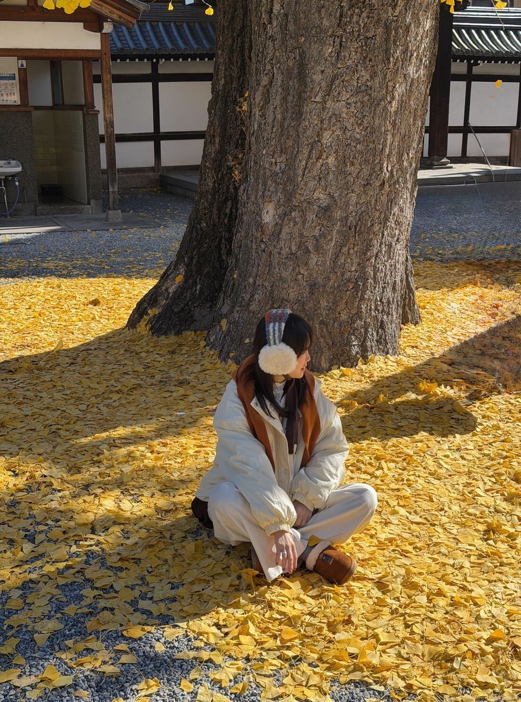 LINE_ALBUM_20251217_251217_98