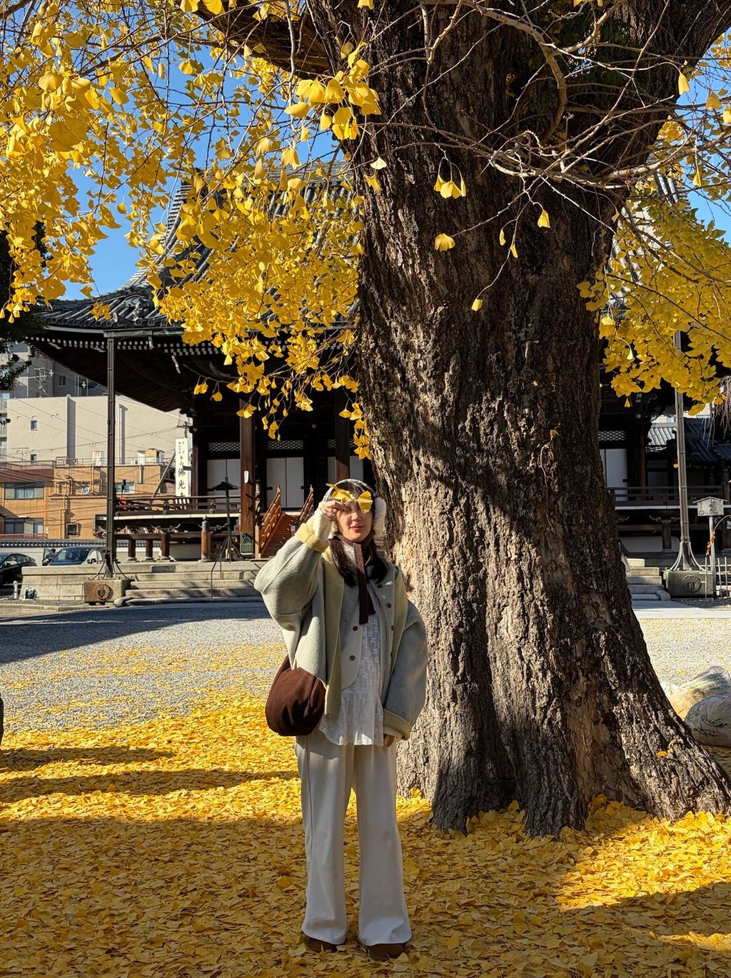 LINE_ALBUM_20251217_251217_110