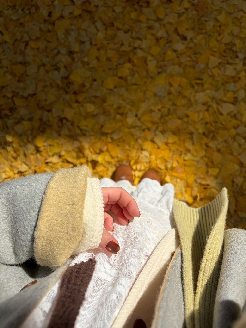 LINE_ALBUM_20251217_251217_39