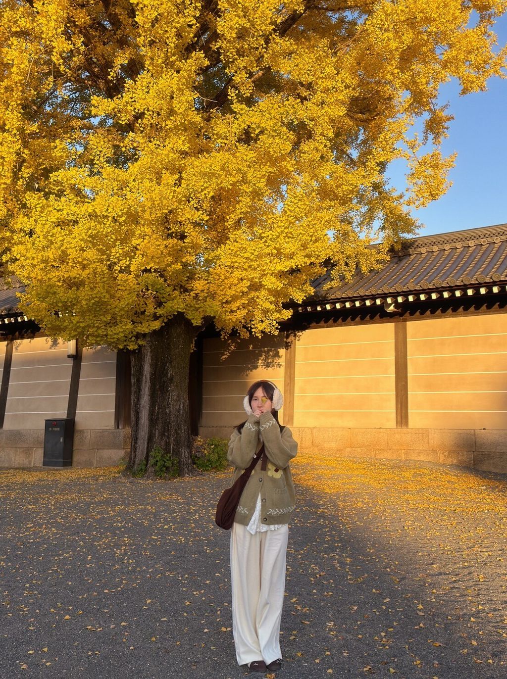 LINE_ALBUM_20251217_251217_90