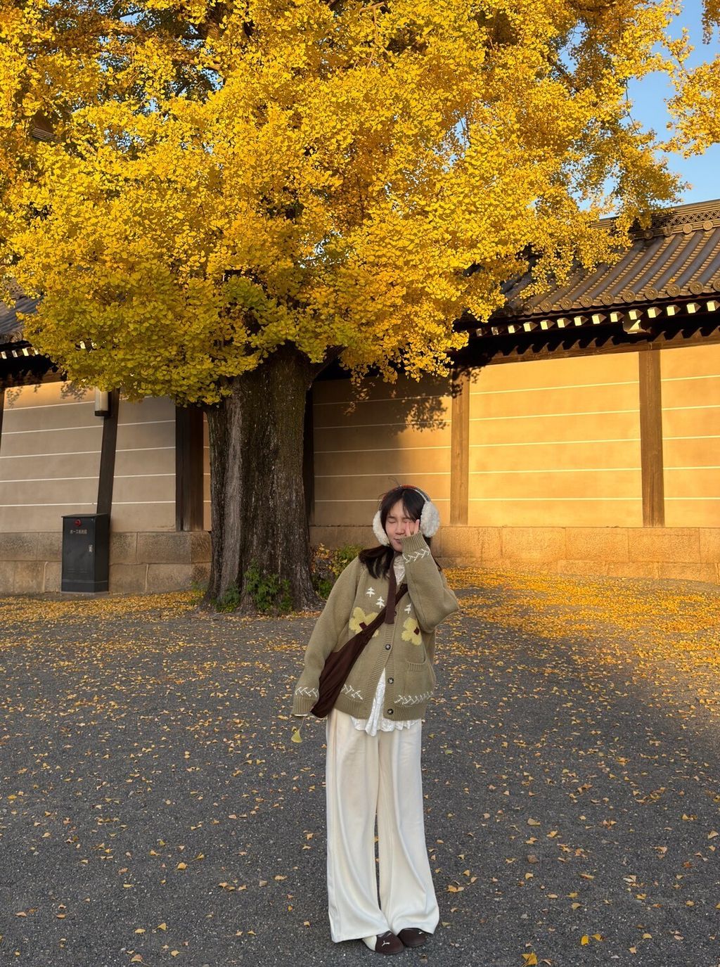 LINE_ALBUM_20251217_251217_92