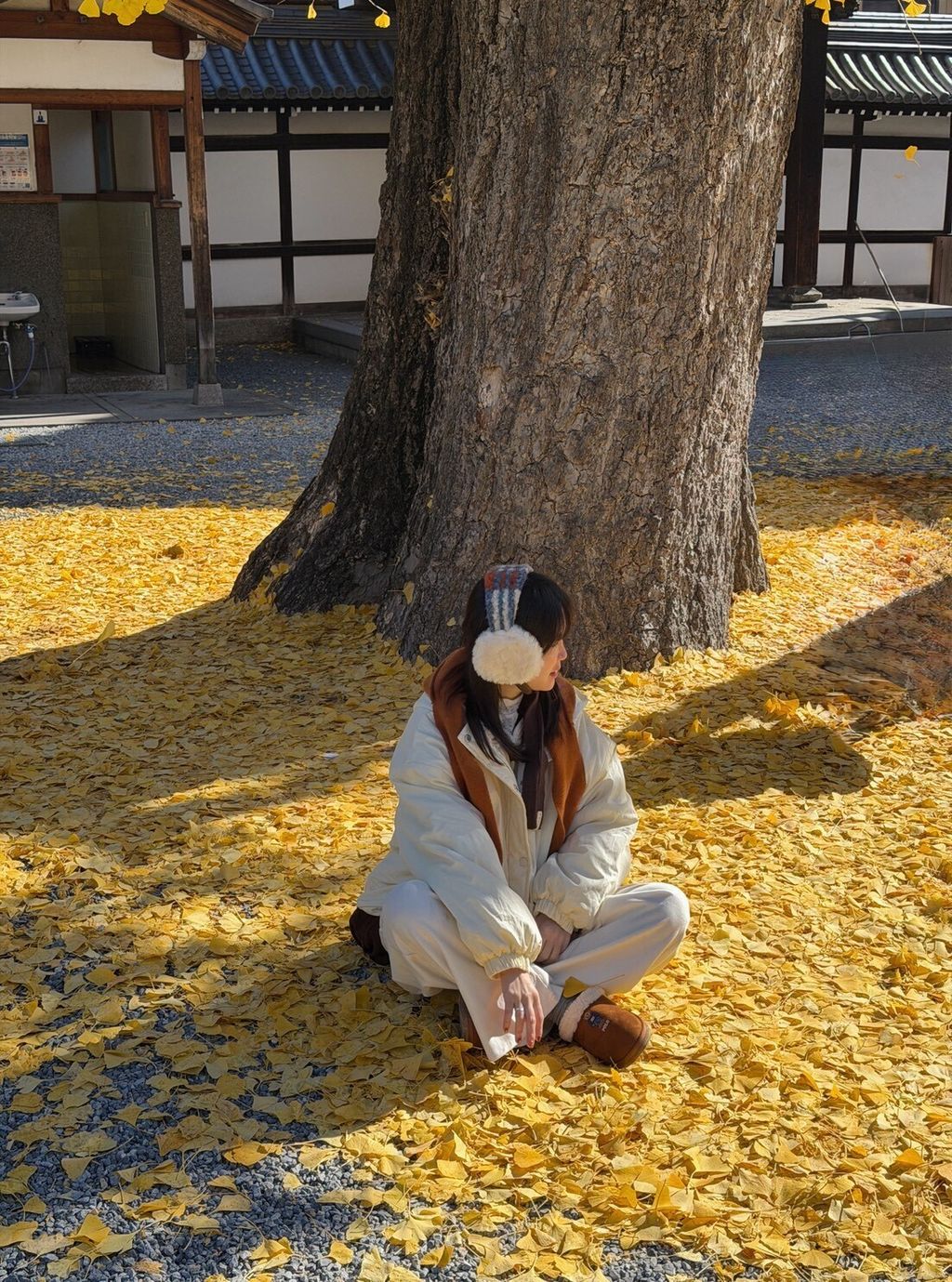 LINE_ALBUM_20251217_251217_98