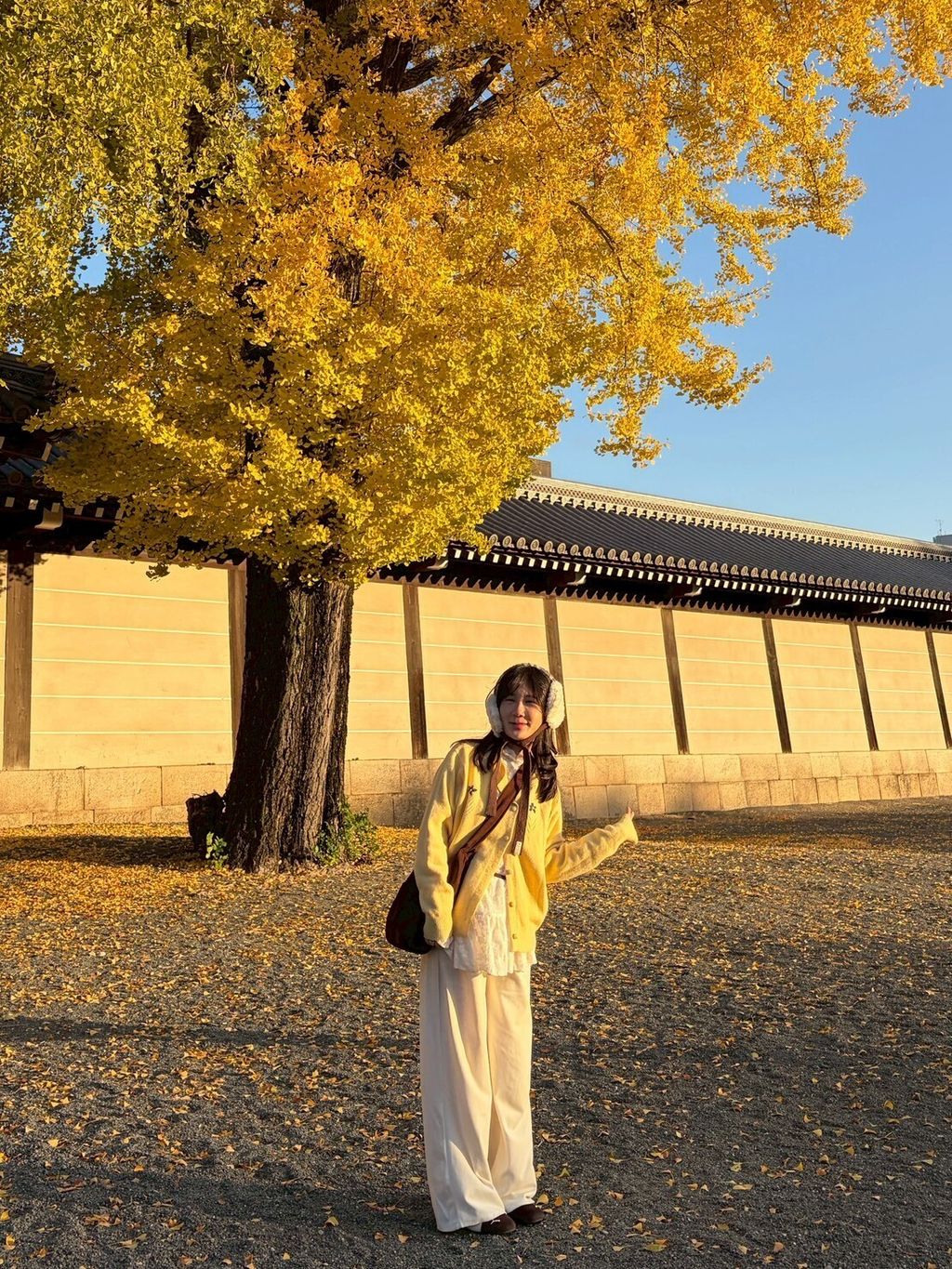 LINE_ALBUM_20251217_251217_109