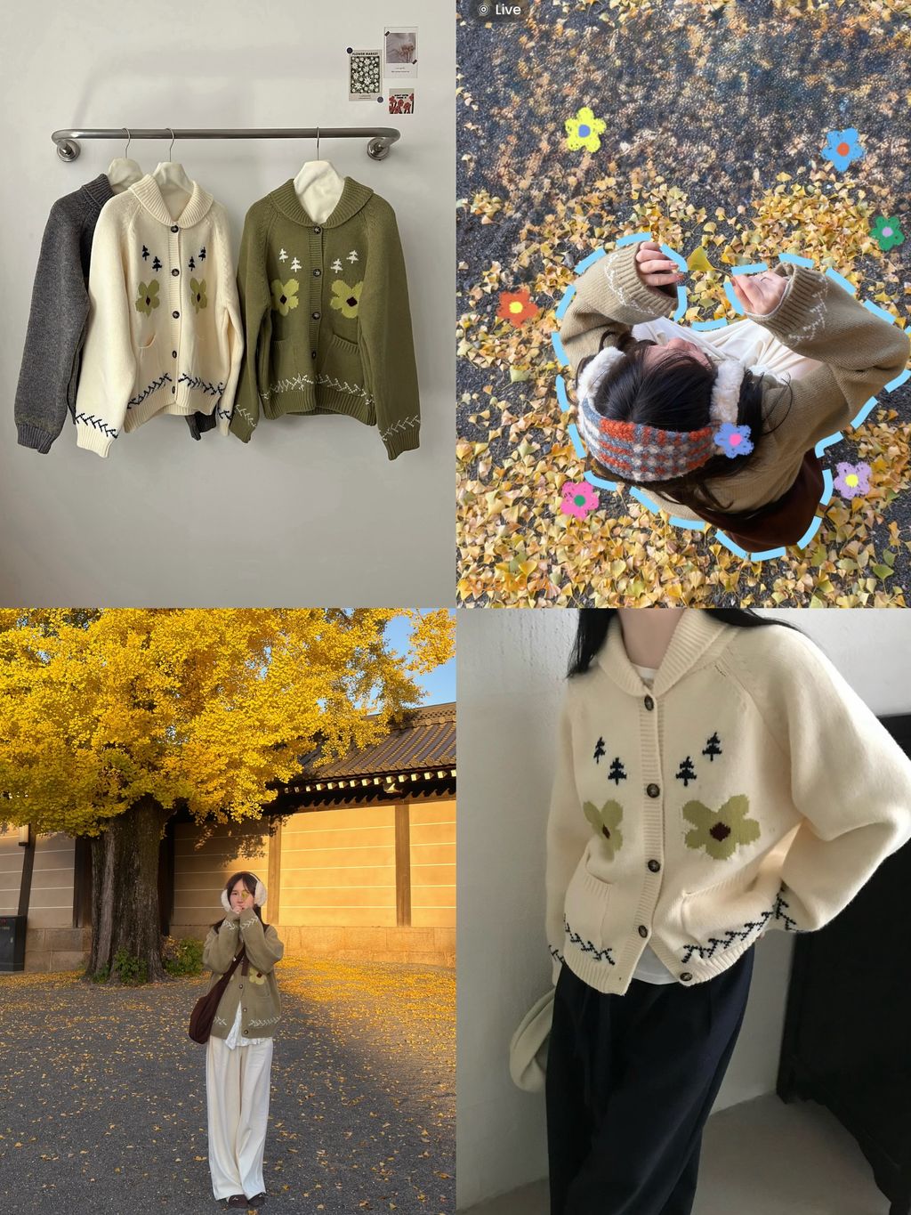 image_C64F5090-F5B5-42D1-A070-4336730B9C60_1765956799