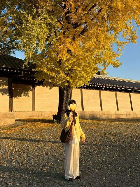 LINE_ALBUM_20251217_251217_31