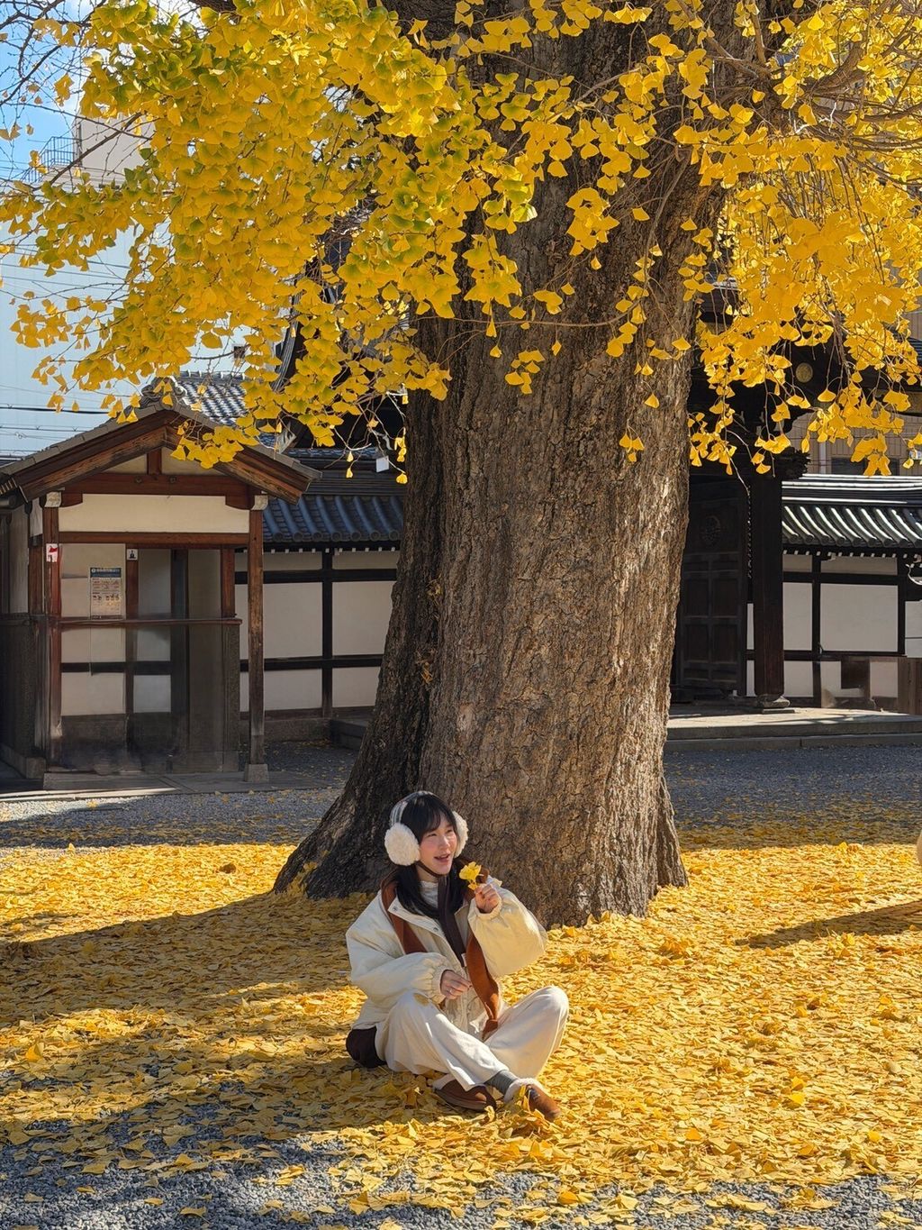 LINE_ALBUM_20251217_251217_99