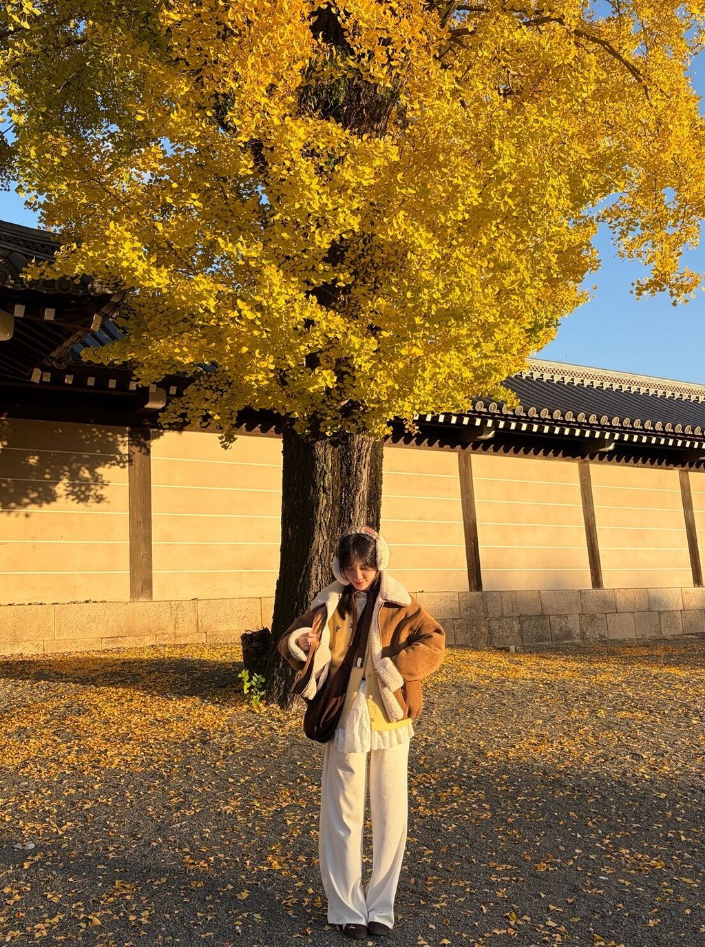 LINE_ALBUM_20251217_251217_107