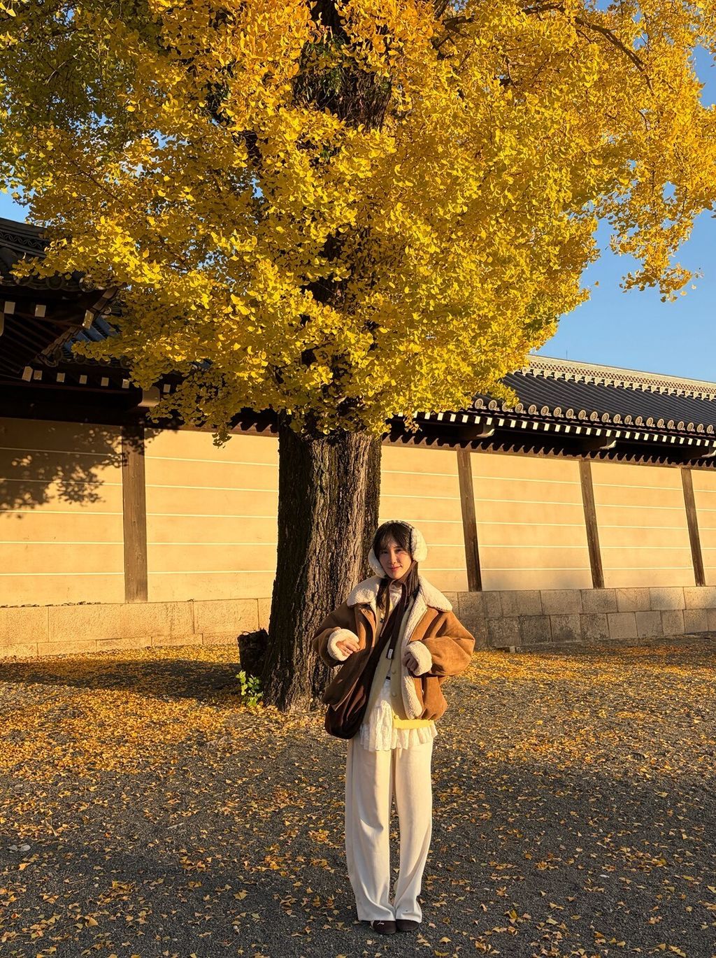 LINE_ALBUM_20251217_251217_108