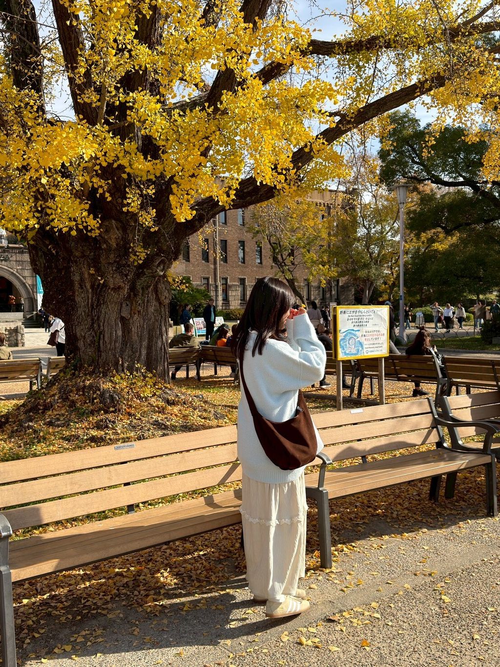 LINE_ALBUM_20251217_251217_72