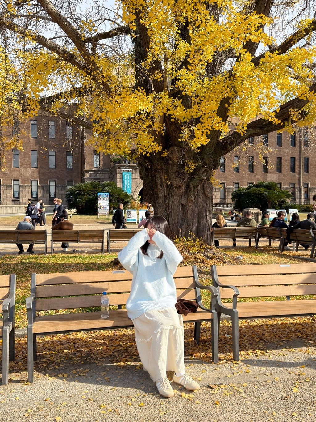 LINE_ALBUM_20251217_251217_105