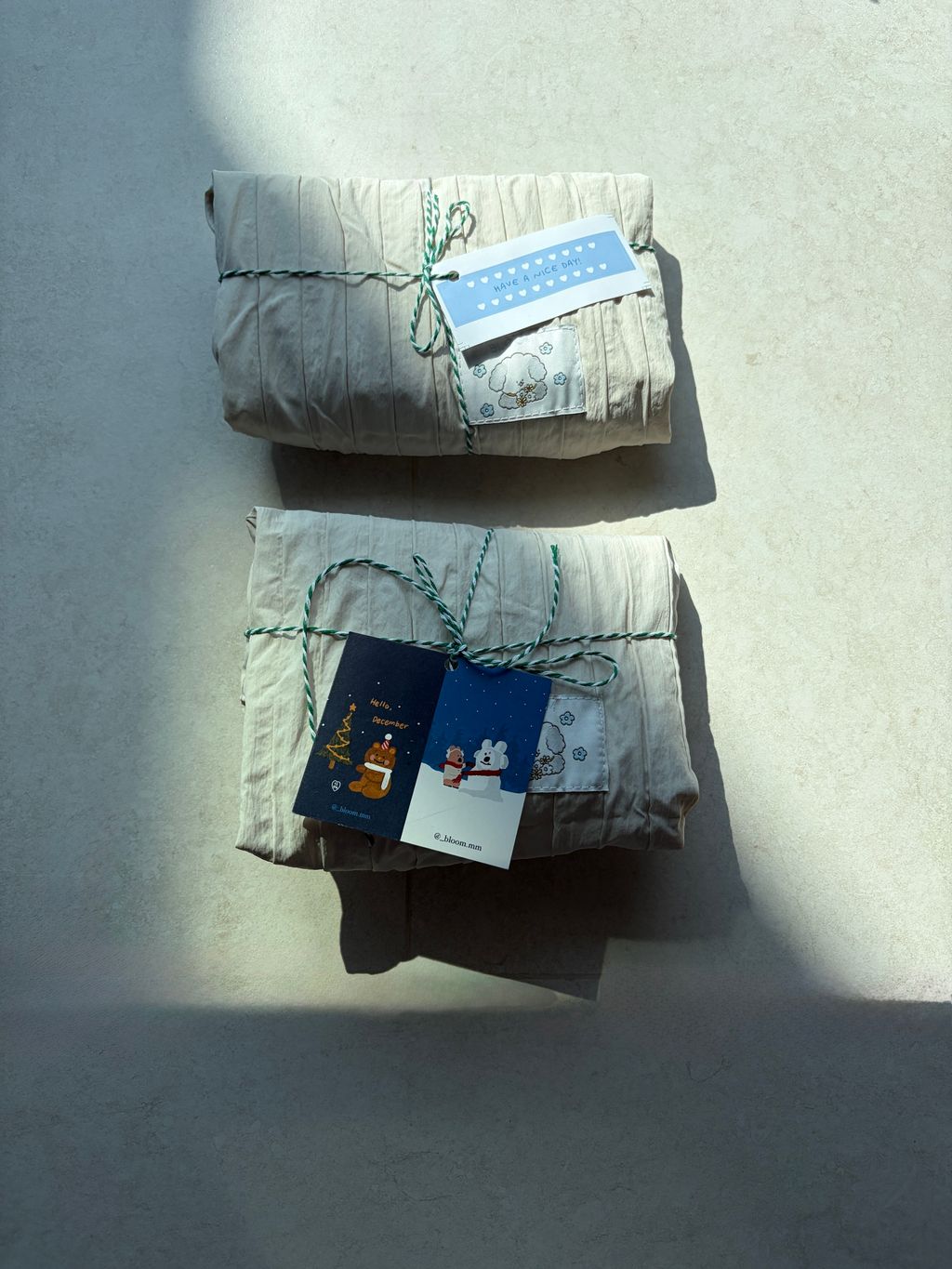 image_21D99051-ECBA-4037-AC93-7A5BDCB5C122_1766052221