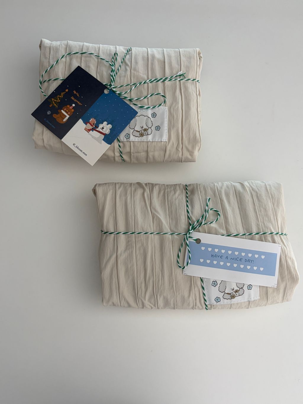 image_9AB99943-9503-4C28-B71D-B8353601CE7F_1766052221