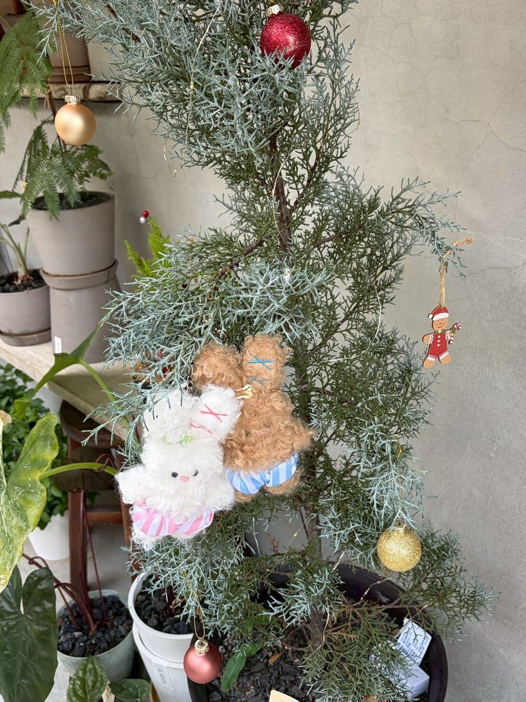 LINE_ALBUM_2026113_260113_179