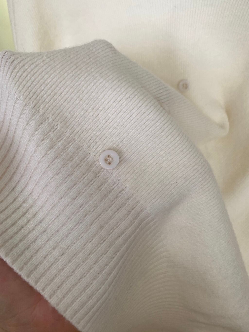 image_C74FED0F-C3A7-4BD2-A686-9D7E16459FDA_1769081512