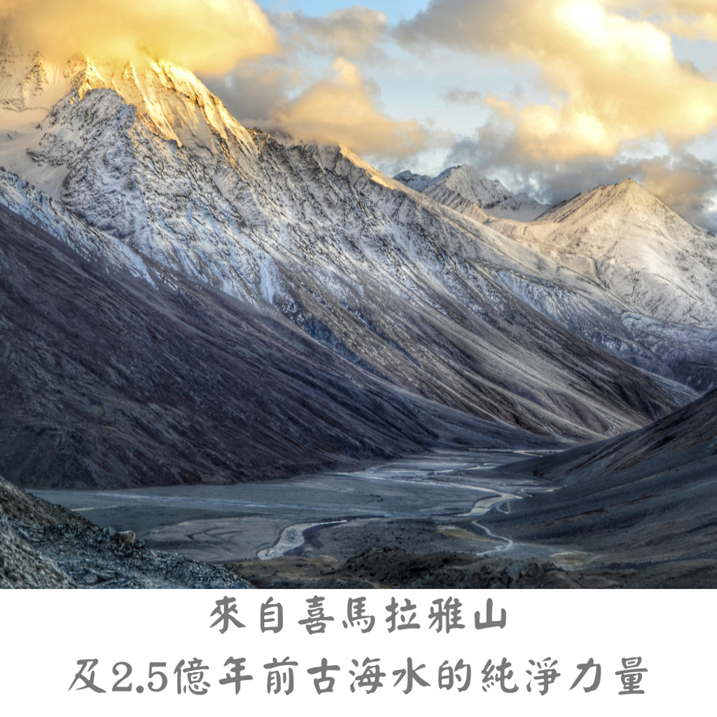 新增標題