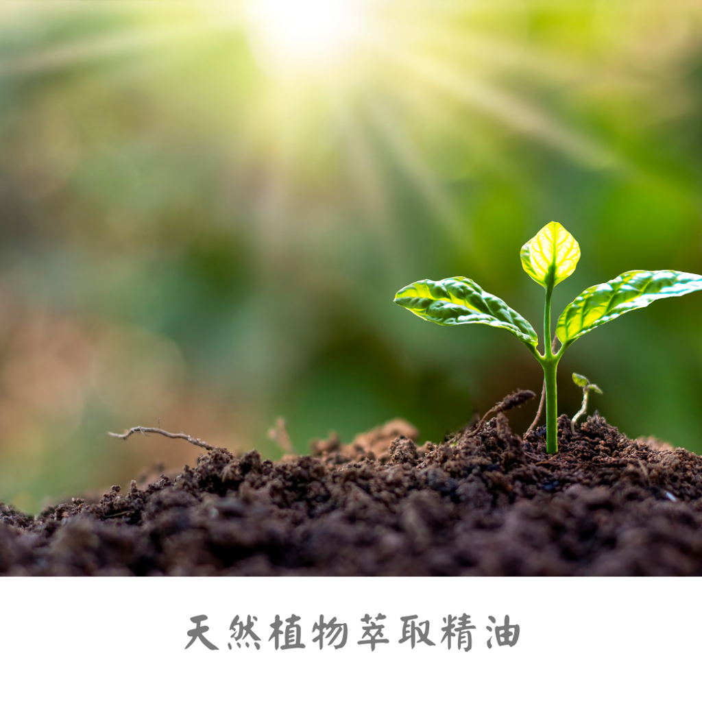 新增標題 (1)