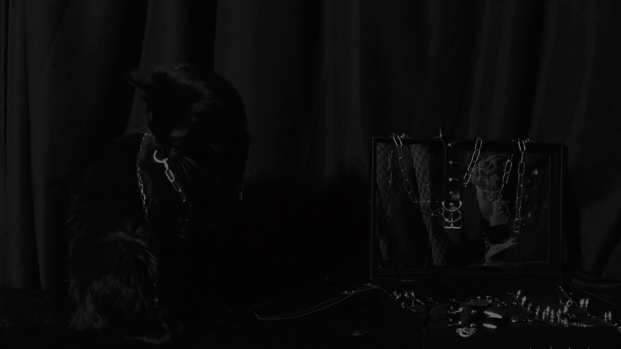  | 𝟒𝟎𝟒.𝕰𝕰𝕽𝕴𝕰.𝕷𝕬𝕭