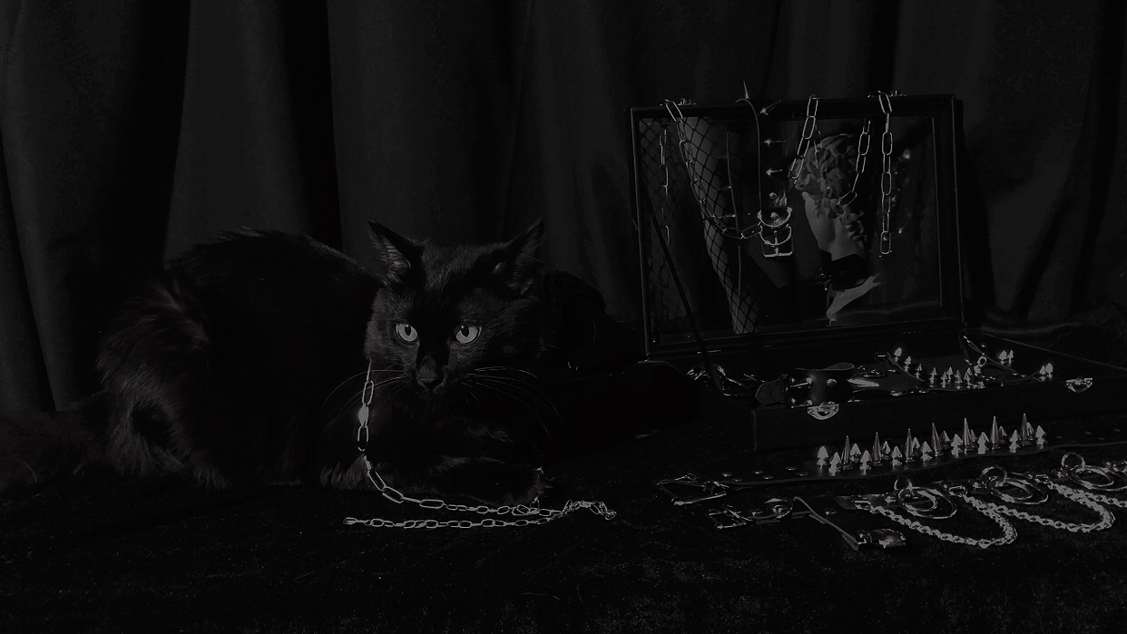  | 𝟒𝟎𝟒.𝕰𝕰𝕽𝕴𝕰.𝕷𝕬𝕭