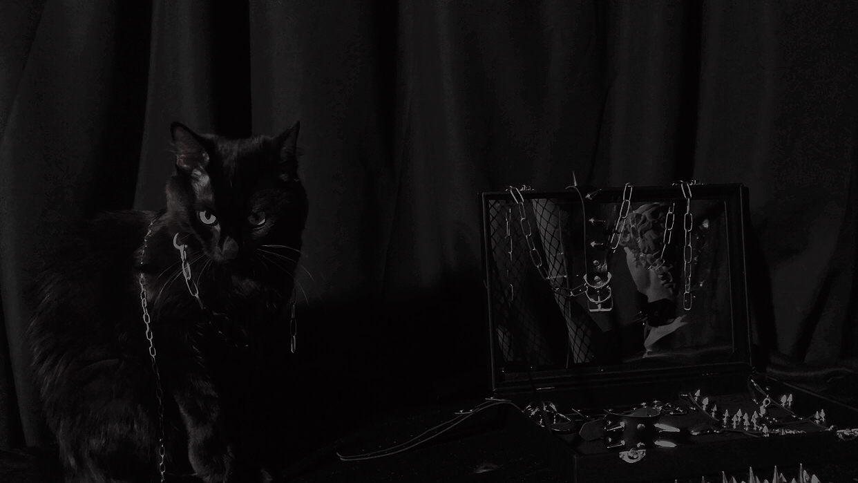 Be myself ✭ life is art  | 𝟒𝟎𝟒.𝕰𝕰𝕽𝕴𝕰.𝕷𝕬𝕭