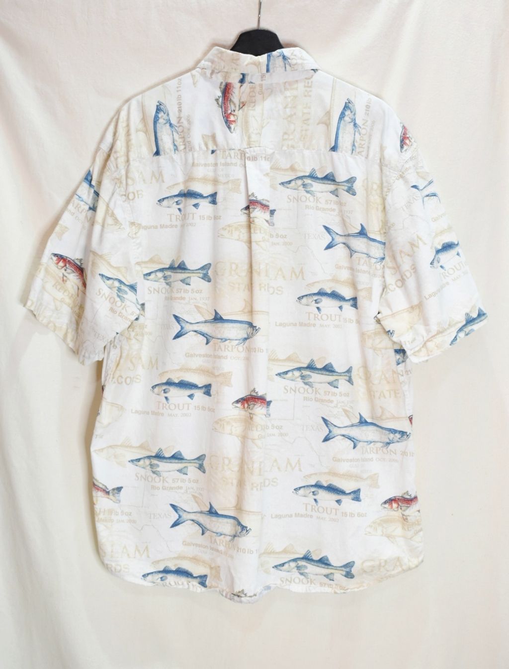 1魚 (6)