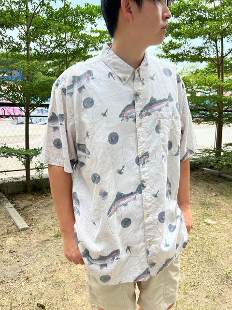 13魚 (1)